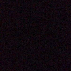 Meet your Posher, Daisy